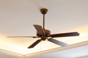 ceiling fans