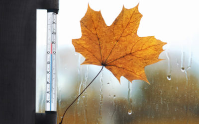 4 Worst Autumn Indoor Air Quality Problems and How to Fix Them