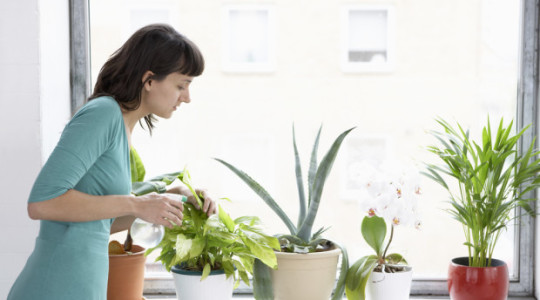 6 Ways to Reduce Indoor Allergens on a Budget