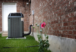 landscaping around the A/C unit