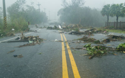4 Ways to Handle Harsh Weather