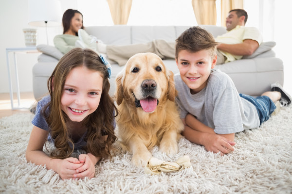 Your Guide to Pets and Indoor Air Quality