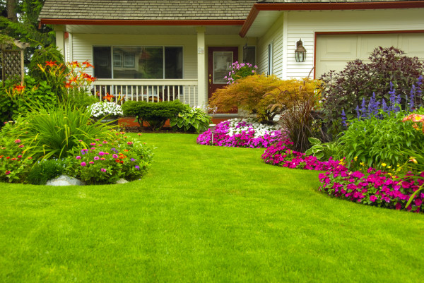 How Your Backyard Landscaping Might Be Compromising Your HVAC System