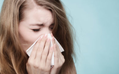 5 Things in Your Baltimore, MD Home that Trigger Allergies