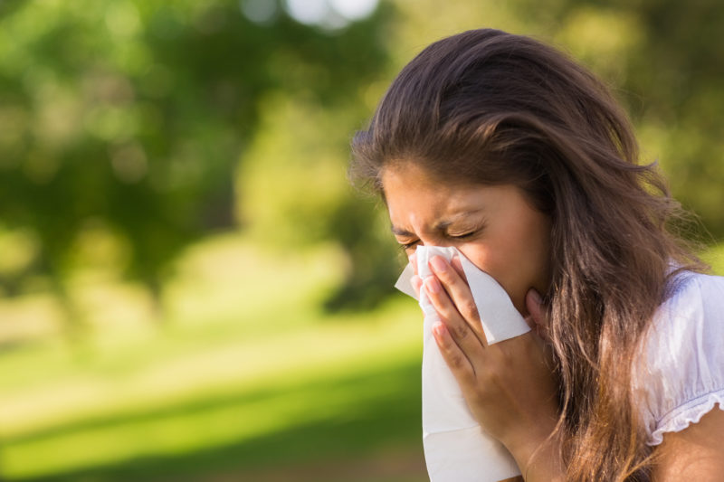 What Spring Means for Your Allergies & How Griffith Energy Services Can Help
